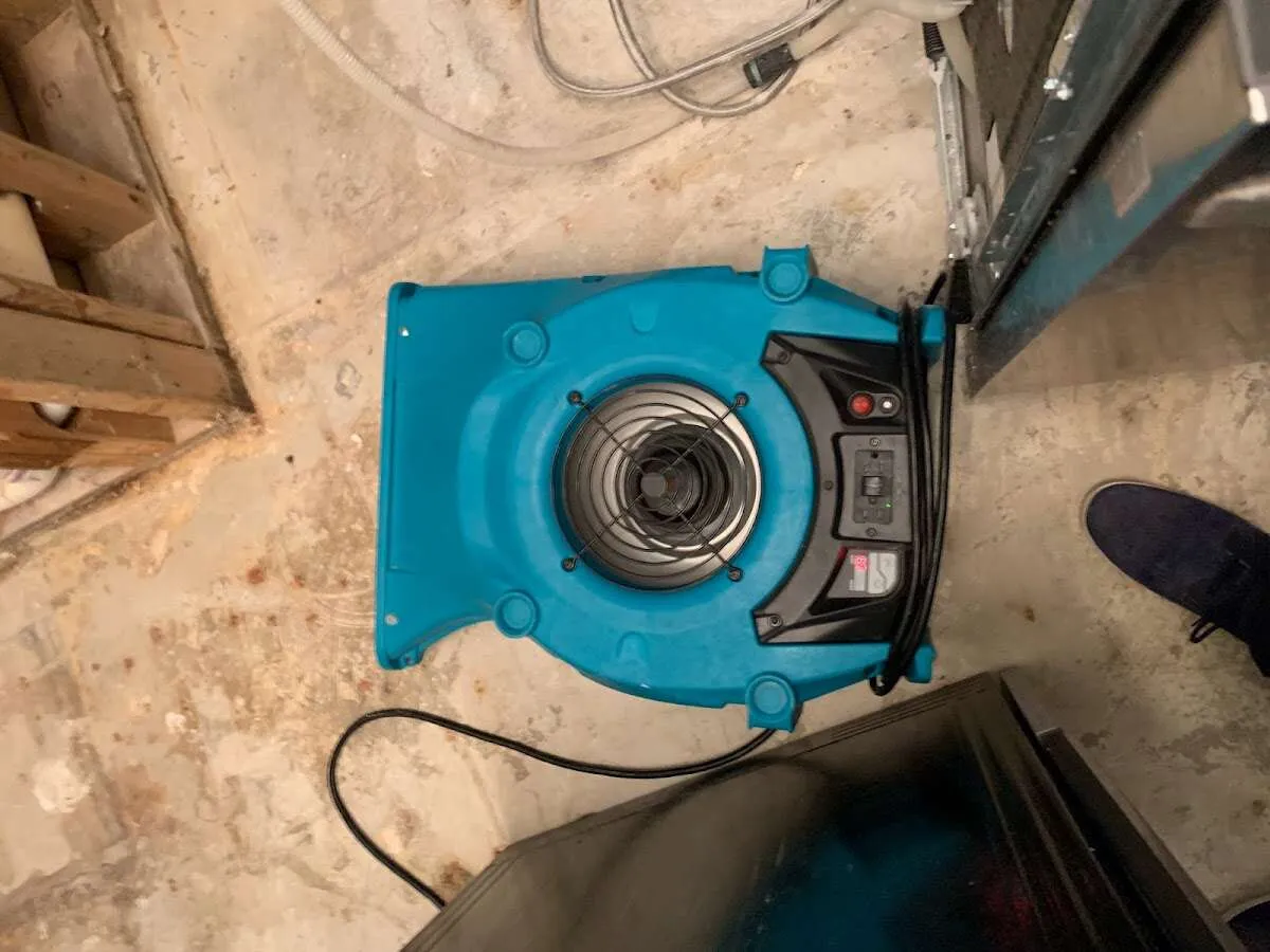 Air mover drying equipment for Mold Remediation & Removal in Grand Island